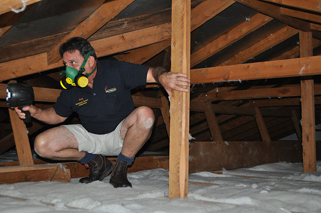 Greg inspecting the roof